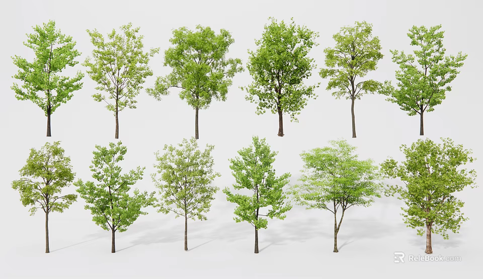 Various Green Arbor Trees With Distinct Foliage Shapes And Sizes 3d model
