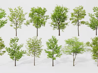 modern landscape tree 3d model