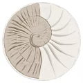 Nautilus Shaped Wall Decor With Textured White And Beige Design 3d model