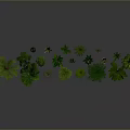 Various Types of Potted Plants Arranged On Gray Background With Lush Green Leaves