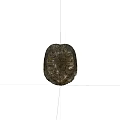 Detailed Natural Turtle Shell With Intricate Patterns On Dark Background
