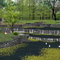 Scenic Park Landscape with Pond Stream Stone Walls Lush Trees Swan and Purple Flowers