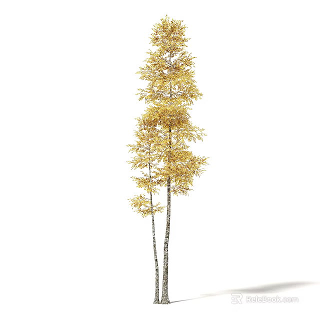 Tall Arbor With Golden Leaves Double Trunks And Lush Autumn Foliage 3d model 