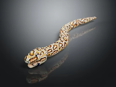 Snake Shaped Lustrous Jewelry Piece With Patterned Design On Black Background 3d model Snake Shaped Lustrous Jewelry Piece With Patterned Design On Black Background 3d model