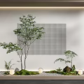 Modern Indoor Garden Decor With Small Trees Ferns Moss Stones And Pebbles