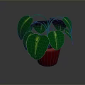 Green Leafy Houseplant with Large Vibrant Green Leaves in Red Pot