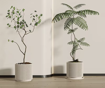 Leafy Bonsai and Fern Potted Plants in Ribbed White Pots for Indoor Decorative 3d model