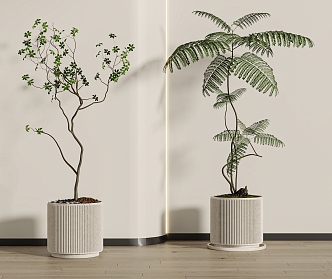 Green plant potted combination 3d model