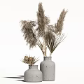 Minimalist Gray Ceramic Vases With Dried Pampas Grass And Flowers On White Background