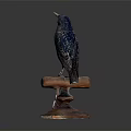 Black Bird Standing On Brown Wooden Base With White Tag
