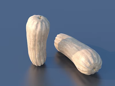 Two White Gourds Fresh Ripe Vegetables Placed On Dark Blue Background 3d model