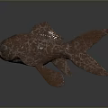 Red Patterned 3D Aquatic Fish Model With Textured Body On Gray Background