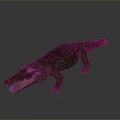 Crocodile Alligator Nile Crocodile carnivore reptile cold-blooded animal reptile 3d model