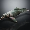 Green Dolphin-like Marine Creature with Long Snout and Streamlined Body on Dark Reflective Surface