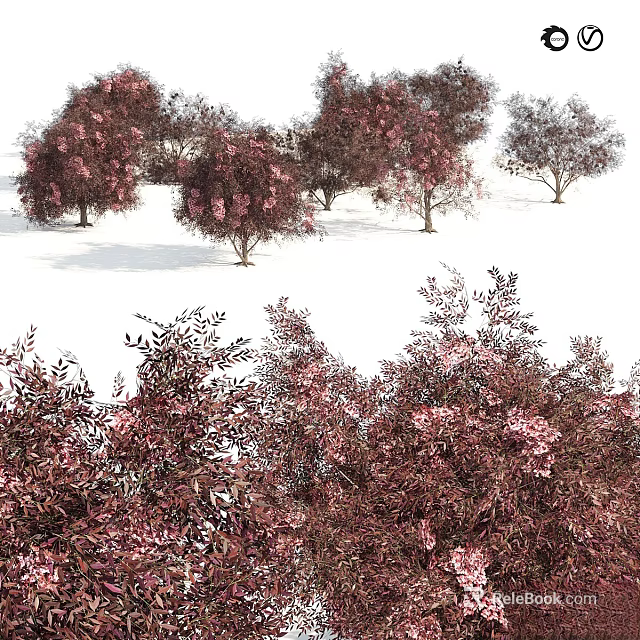 Ornamental Trees With Purple Red Foliage And Pink Blooms For Garden Landscape Design 3d model 