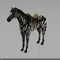 Realistic Black And White Striped Zebra Standing With Brown Saddle On Gray Background