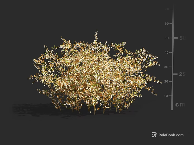 Golden Foliage Shrub With Dense Branch Structure Natural Shape And Vibrant Garden Look 3d model 