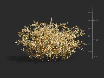 Golden Foliage Shrub With Dense Branch Structure Natural Shape And Vibrant Garden Look 3d model
