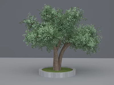 Arbor with Lush Green Leaves and Thick Trunk on Circular Gray Base with Grass 3d model