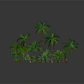 Lush Green Palm Trees And Tropical Plants In Decorative Landscape Arrangement