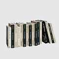 Collection of Various Books with Colorful Covers Arranged Neatly