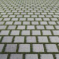 Outdoor Paved Ground With Gray Square Pavers And Green Grass Growing Between Gaps