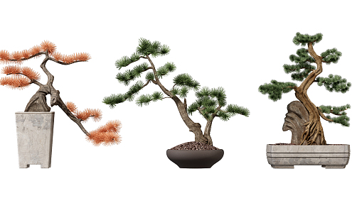 New Chinese Bonsai Pine Bonsai Welcome Pine Ornaments 3d model