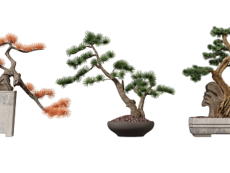 New Chinese Bonsai Pine Bonsai Welcome Pine Ornaments 3d model