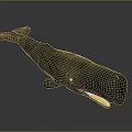 Gray Whale Model with Open Mouth and Visible Teeth on Dark Background Showing Clear Reflection 3d model