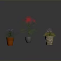 Three Green Potted Plants With Slender Leaves In Colorful Pots For Indoor Decor