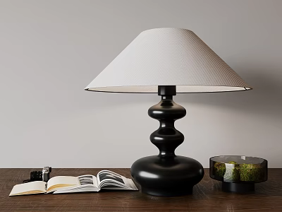 Black Table Lamp with White Lampshade Open Book Camera and Moss Container on Wooden Table 3d model