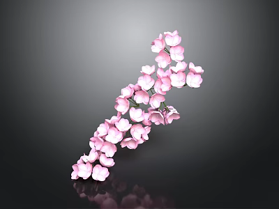Beautiful Pink Flowers On Curved Branch With Dark Background And Reflection 3d model