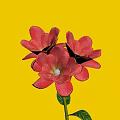 Vibrant Red Flowers With Green Stem And Leaves On Dark Background