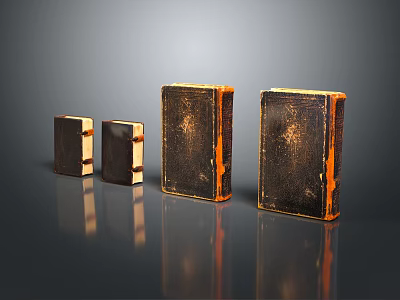 Old Books With Various Sizes And Black Orange Borders On Dark Reflective Surface 3d model