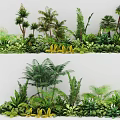 Lush Tropical Plant Combination With Varied Ferns Palms And Green Foliage