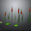 Red Cattails Green Lily Pads And Pink Lotus Flower Growing On Water Surface With Reflections