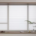 White Venetian Blinds in Wooden Window Frame with Ferns and Decorative Items on Sill