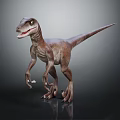 Realistic Velociraptor Dinosaur Standing With Open Mouth 3D Model On Black Background 3d model