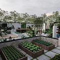 Modern Garden Landscape With Wooden Deck Stone Wall Circular Mirror Green Plants And Geometric Pavement
