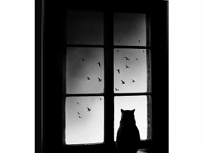 Black and White Animal Painting of Cat Silhouette by Window With Flying Birds 3d model