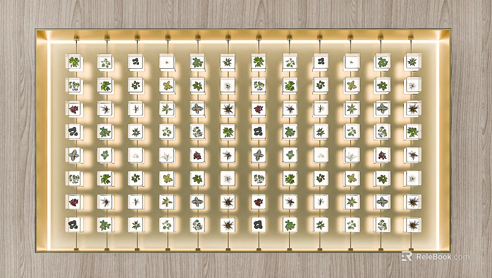 Modern Vertical Green Plant Wall with Diverse Plant Species in Grid Layout 3d model 