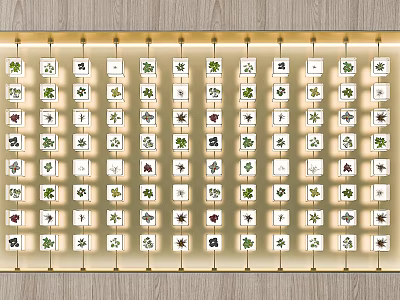 Modern Vertical Green Plant Wall with Diverse Plant Species in Grid Layout 3d model