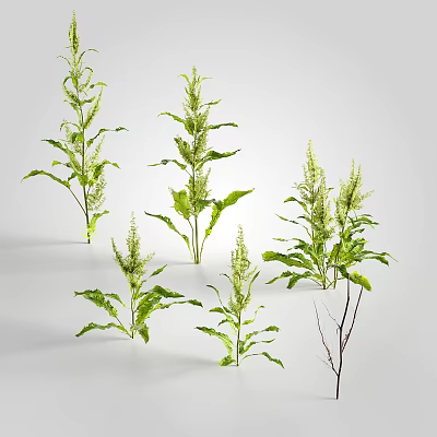 Modern plants and flowers 3d model