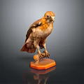 Bird Specimen Standing On Orange Base With Detailed Feathers Against Dark Background 3d model
