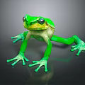 Vibrant Green Frog With Large Eyes And Webbed Toes On Black Background