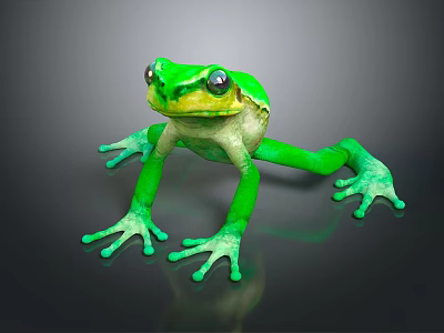 Vibrant Green Frog With Large Eyes And Webbed Toes On Black Background 3d model