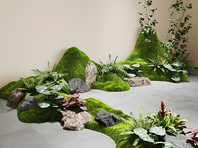 Indoor Landscape With Green Moss Rock Formations And Various Fern Plants 3d model