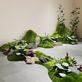Indoor Landscape With Green Moss Rock Formations And Various Fern Plants