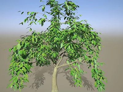 Healthy Green Crop Tree With Lush Vibrant Foliage And Strong Trunk 3d model