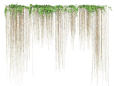 Long Trailing Vines With Lush Green Leaves For Natural Home Decoration 3d model